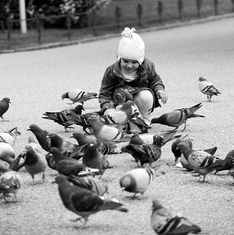 The little girl and the pigeons.jpg